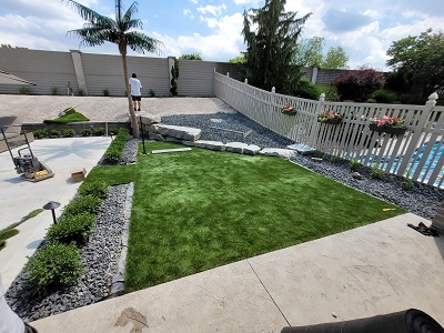 Palm Trees for Backyard